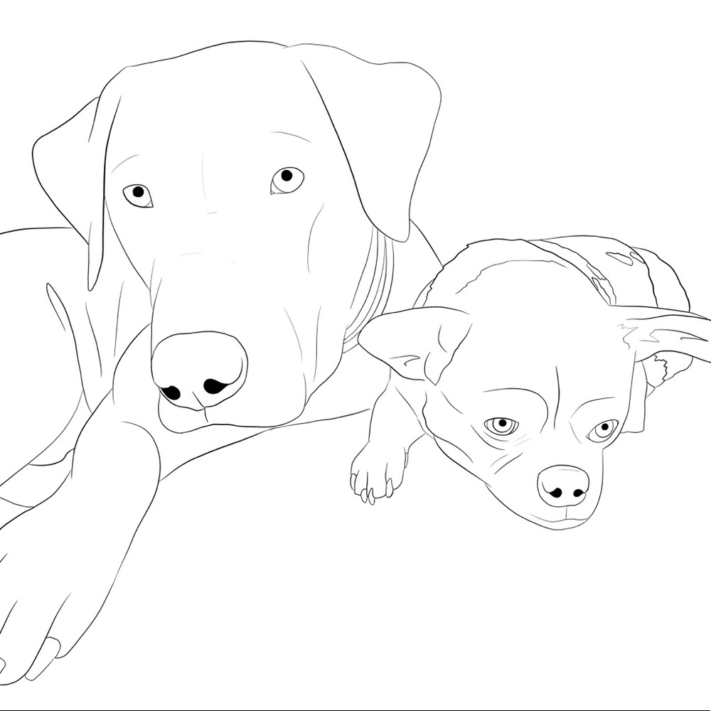 Animal Line Drawing